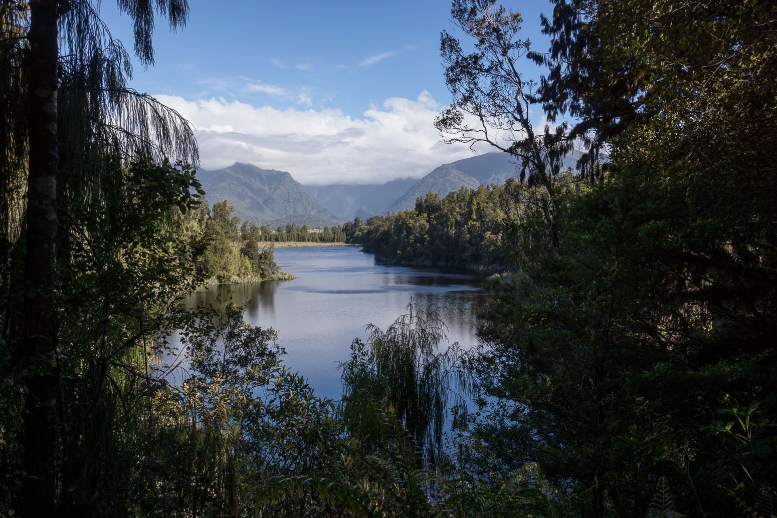 Lake Matheson, Westland NP, New Zealand